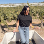 woman stomping on large pile of grapes for Paso Robles Harvest Wine month at CASS Winery