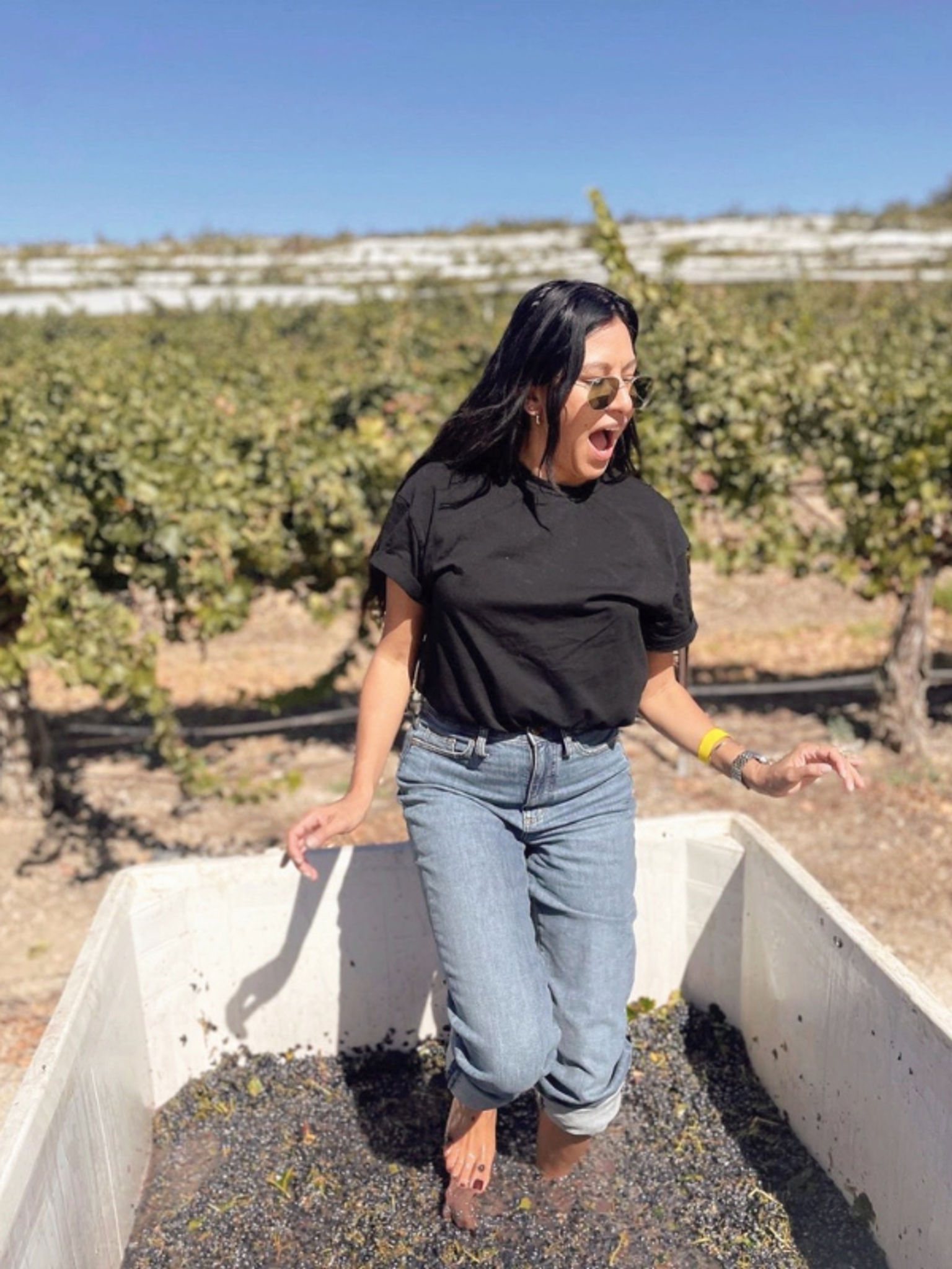 woman stomping on large pile of grapes for Paso Robles Harvest Wine month at CASS Winery
